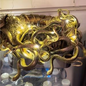 Halloween costume. Great Medusa costume. Won two costume contests.